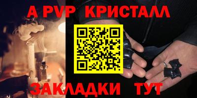 шишки Дубна