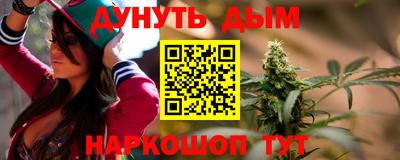шишки Дубна