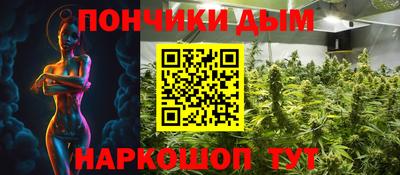 шишки Дубна